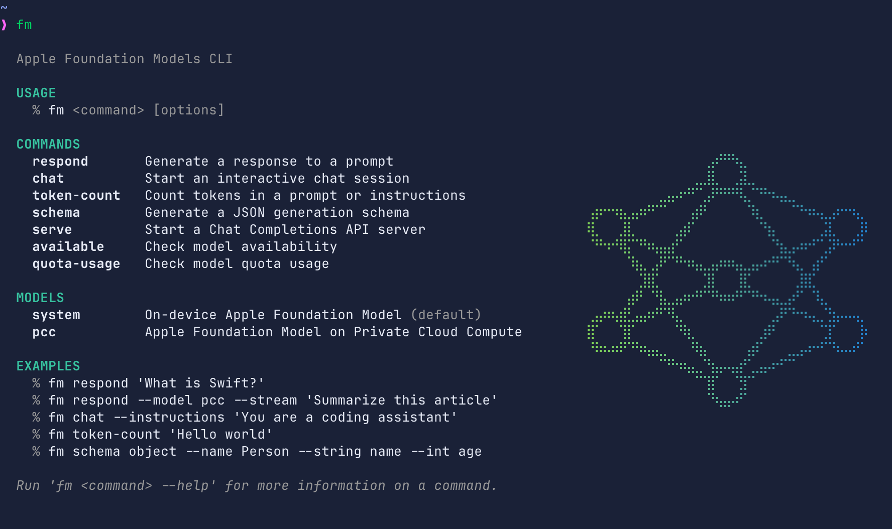 Foundation Model CLI